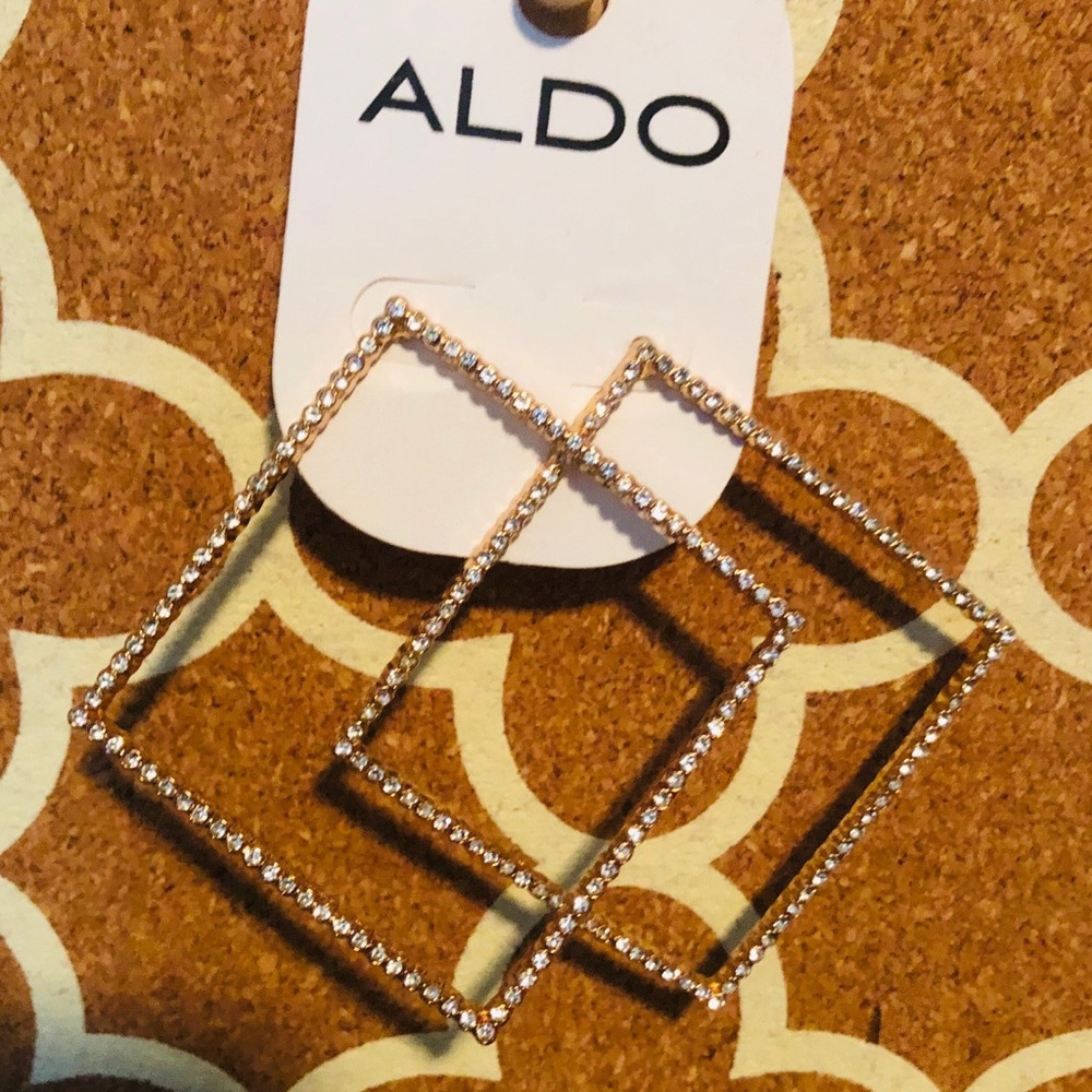 Aldo Droalla Women’s Earring - Gold